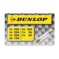 Cartbridge fuses (10 pieces) Dunlop