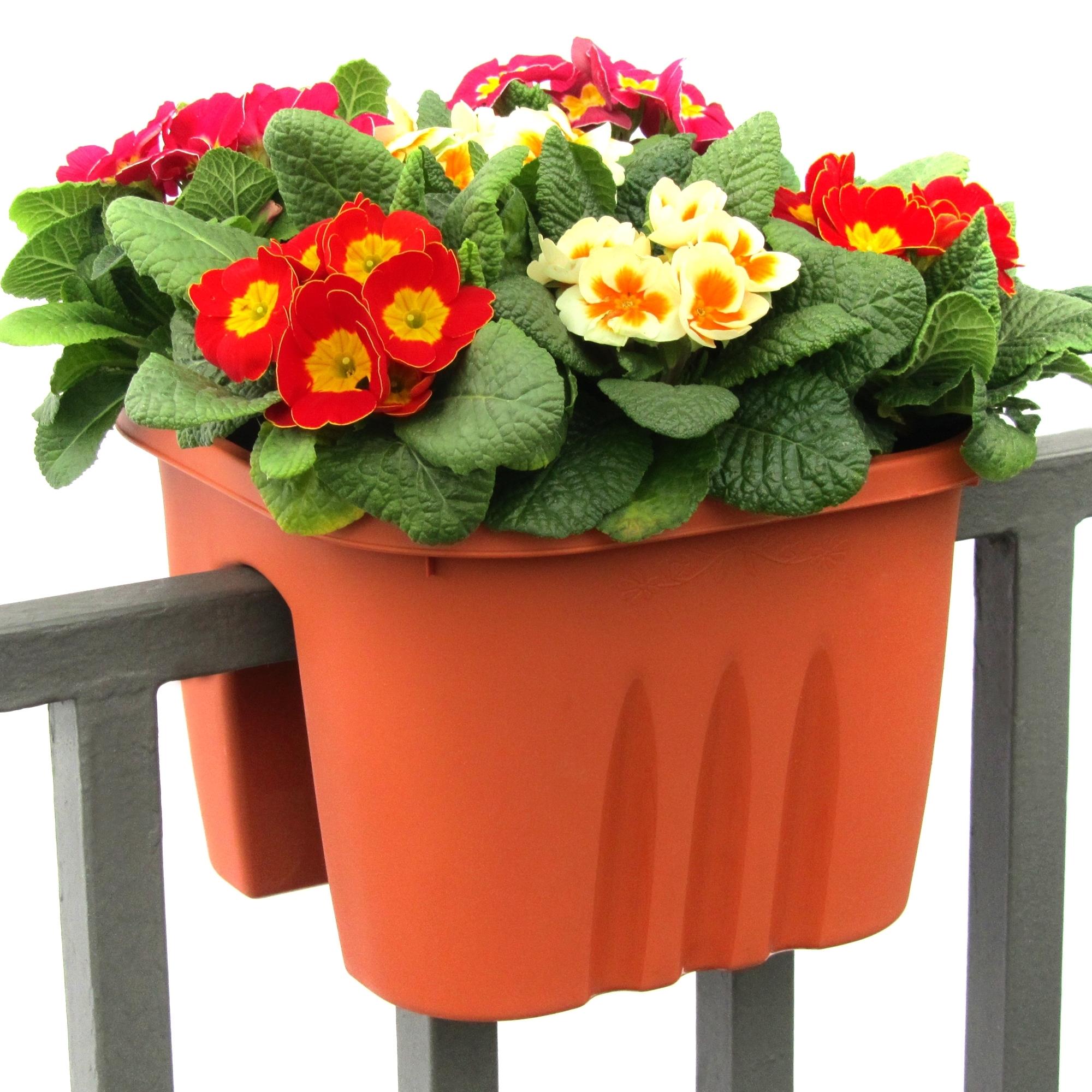 Geländer Balkon Blumenkasten Balkonkasten Blumentopf Blumenkübel