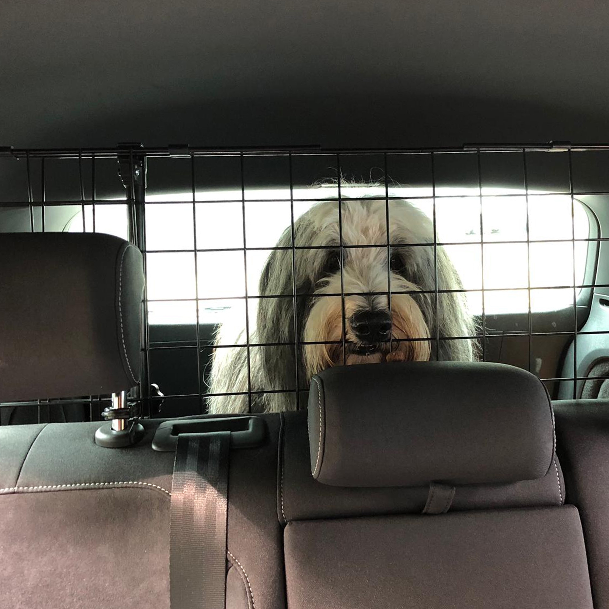 Universal Kofferraum Trenngitter Fr Hunde - Auto Hundegitter Zum Transport