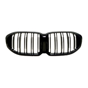 BMW Kidney grilles