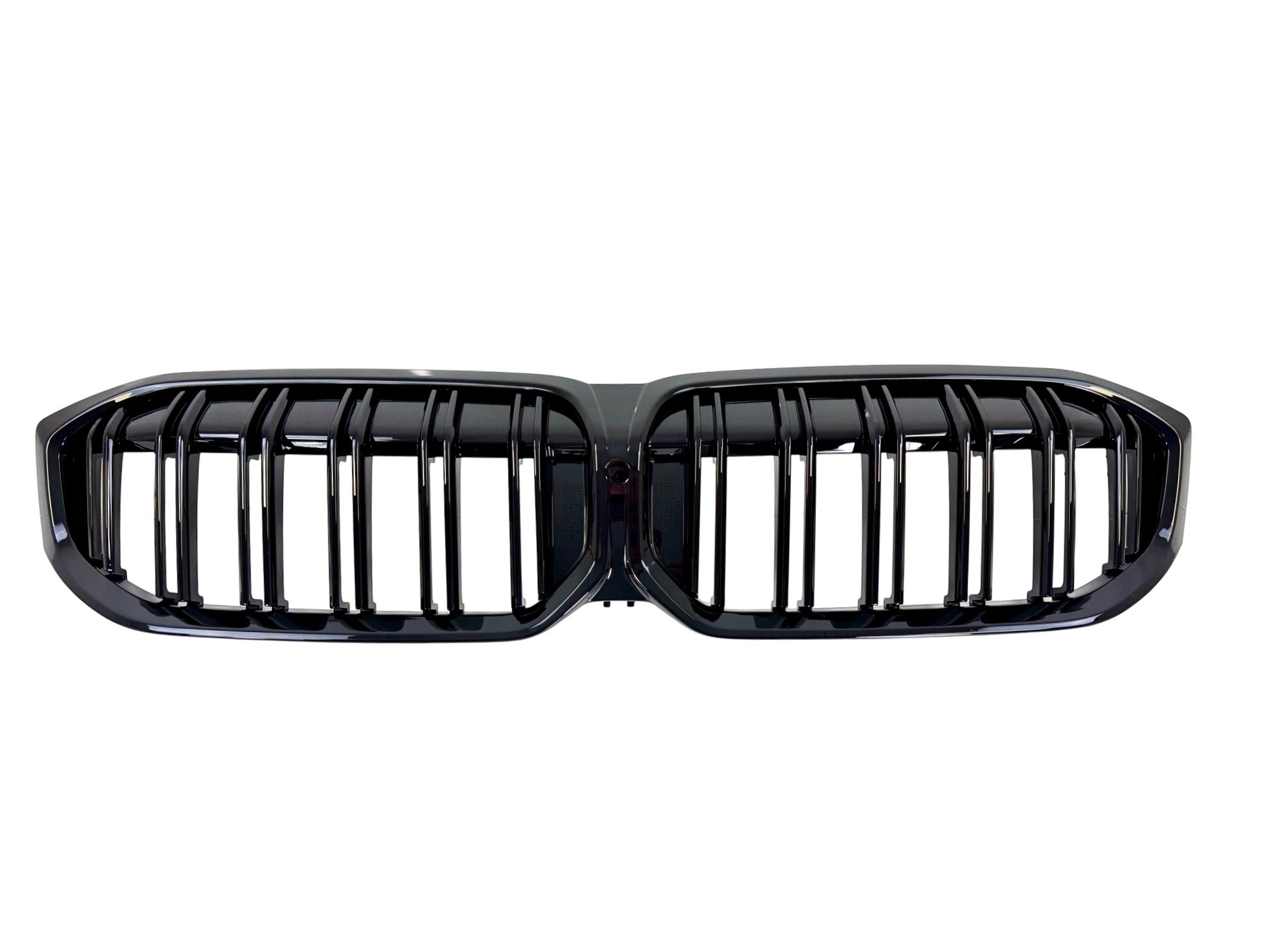 BMW Kidney Grilles