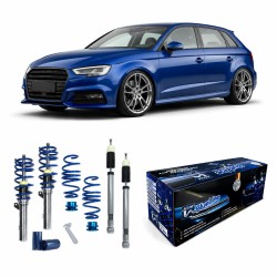 BlueLine Gewindefahrwerk passend für A3 (8V) S3 RS3 HA Mehrlenker (Multilink) passend für Audi A3 (8V), S3, RS3, 2012-2020, Ø 50/55 mm!! (Achslast VA 1200 kg) nur passend bei HA Mehrlenker (Multilink), Gewinde/ Feder