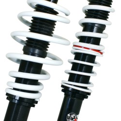 NJT eXtrem Coilover Kit suitable for VW Polo 6N, 6N2 Facelift and Variant year 1999 - 2002